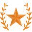 Bronze Award